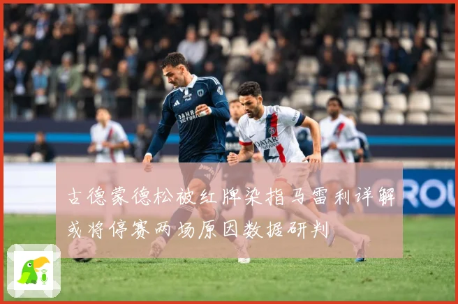 古德蒙德松被红牌染指马雷利详解或将停赛两场原因数据研判