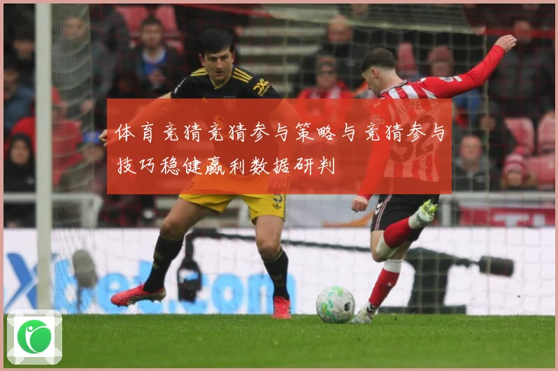 体育竞猜竞猜参与策略与竞猜参与技巧稳健赢利数据研判
