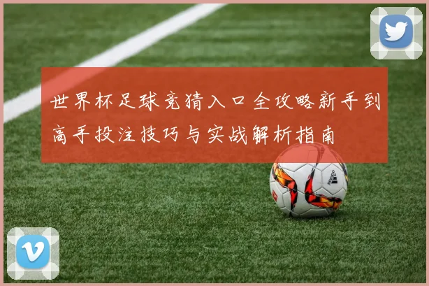 世界杯足球竞猜入口全攻略新手到高手投注技巧与实战解析指南