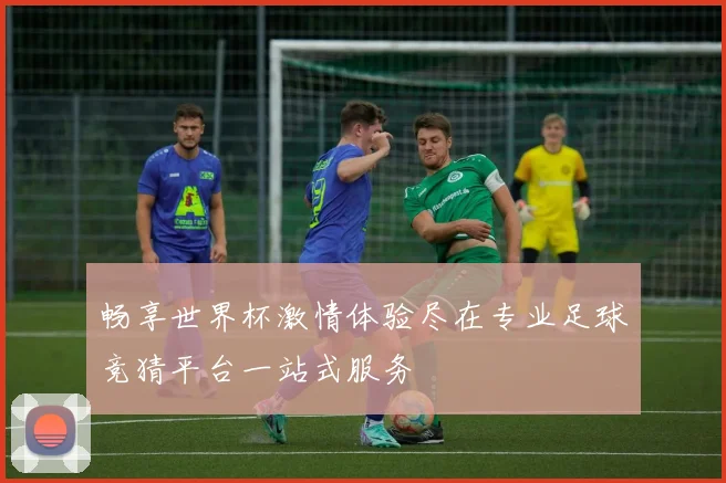 畅享世界杯激情体验尽在专业足球竞猜平台一站式服务