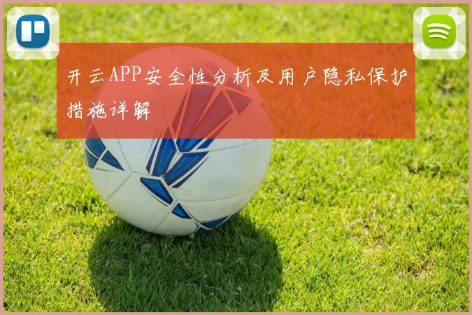 开云APP安全性分析及用户隐私保护措施详解