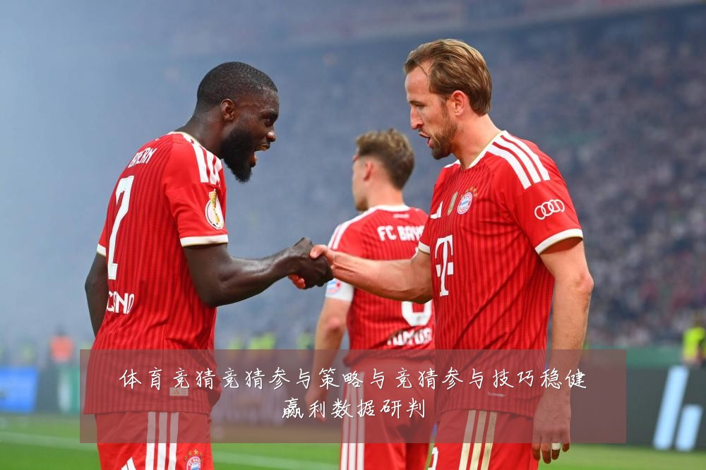 体育竞猜竞猜参与策略与竞猜参与技巧稳健赢利数据研判